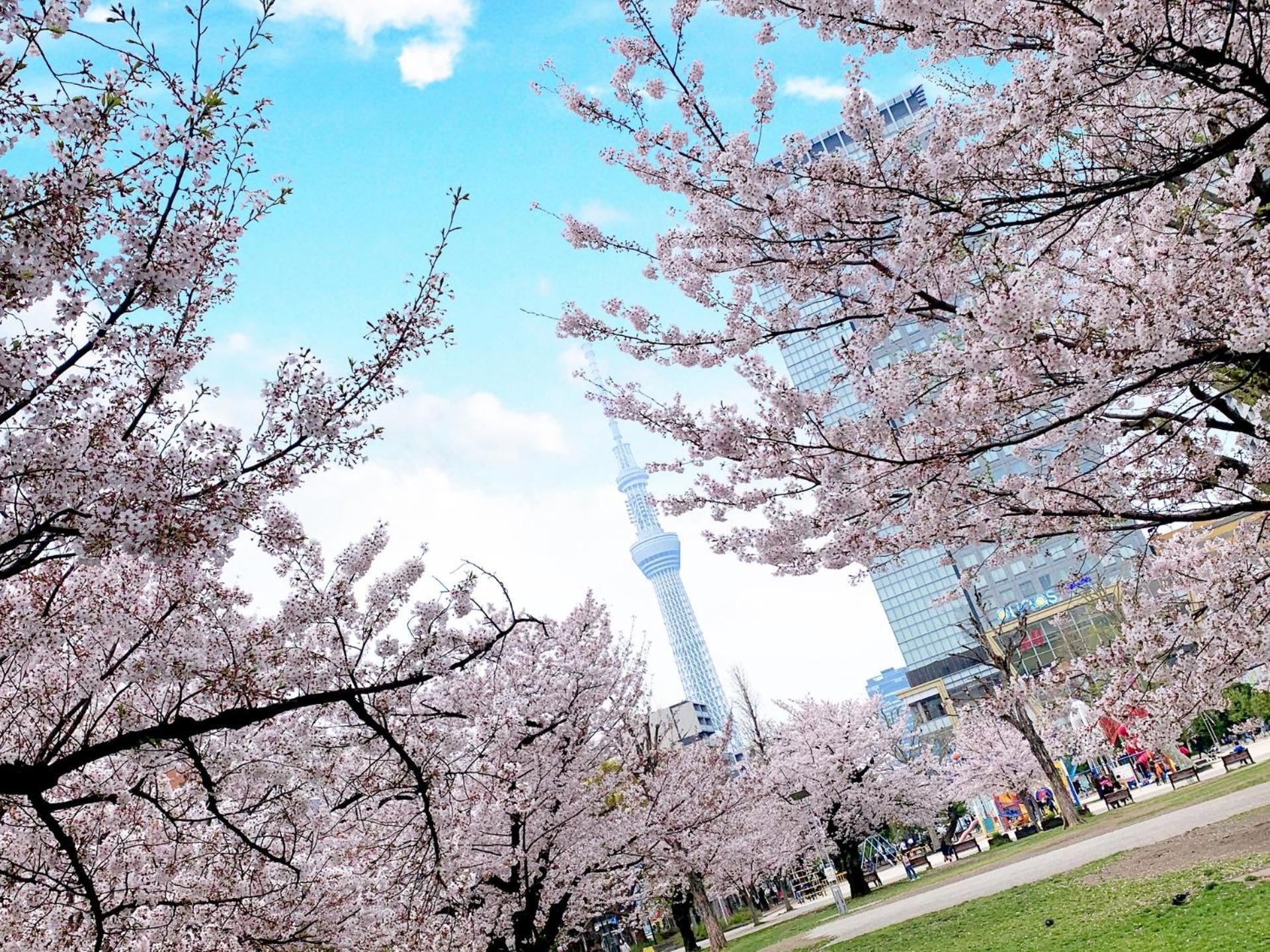 The Bonds Hotel Tokyo — Photos 1